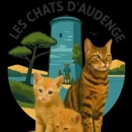 LES CHATS D'AUDENGE