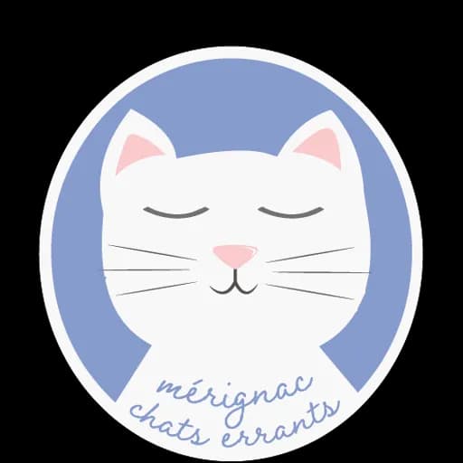 MERIGNAC CHATS ERRANTS
