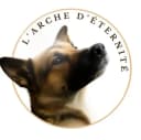 Arche éternité