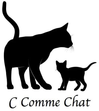 C COMME CHAT