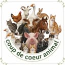 ASSOCIATION COUP DE COEUR ANIMAL