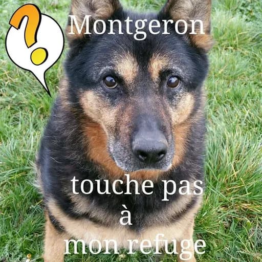 ANIMAUX SANS FOYER