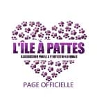 ASSOCIATION L'ÎLE À PATTES