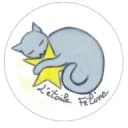 L'ETOILE FELINE