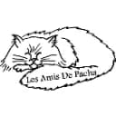 LES AMIS DE PACHA