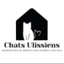 CHATS ULISSIENS