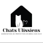 CHATS ULISSIENS