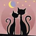 ECOLE DU CHAT LIBRE DE DRANCY