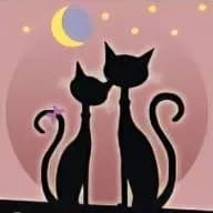 ECOLE DU CHAT LIBRE DE DRANCY