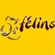 ORFELINS