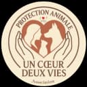 UN COEUR DEUX VIES