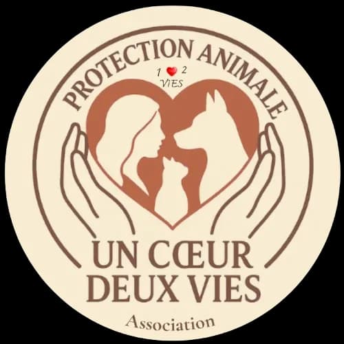 UN COEUR DEUX VIES