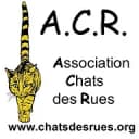 ASSOCIATION CHATS DES RUES
