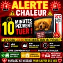 SOS ANIMAUX