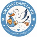 UN CHAT DANS LA VIE