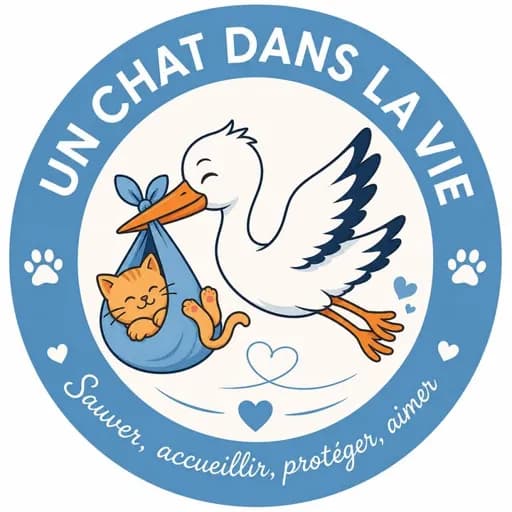 Un chat dans la vie