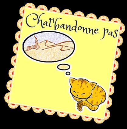 CHAT' BANDONNE PAS 27