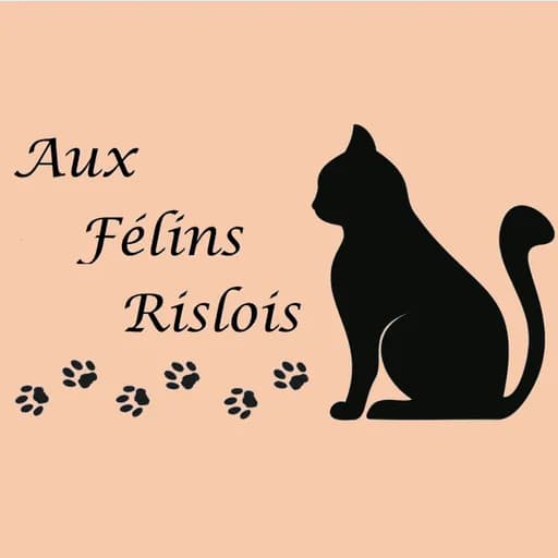 AUX FELINS RISLOIS