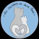 LES CHA'MOURS DE SAINT-MARD