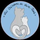 Les cha'mours de Saint-Mard