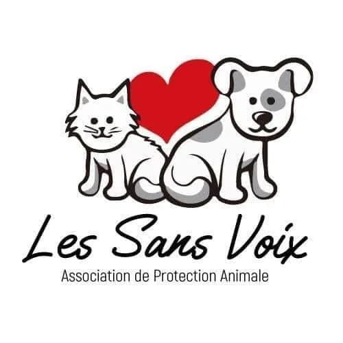 ASSOCIATION LES SANS VOIX