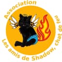 LES AMIS DE SHADOW, CHAT DE FEU