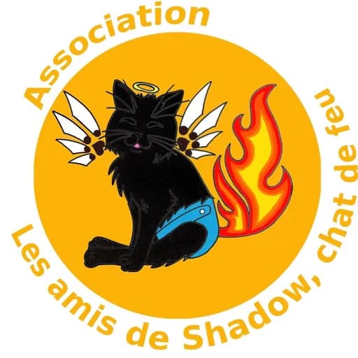 LES AMIS DE SHADOW, CHAT DE FEU