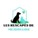 LES RESCAPÉS DE MEJDOULINE