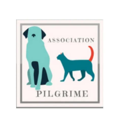 Pilgrime