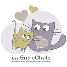 Les EntreChats