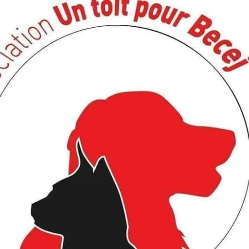 Un toit pour Becej