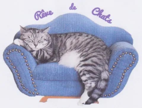 Rêve de Chats