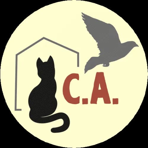 Cosa Animalia
