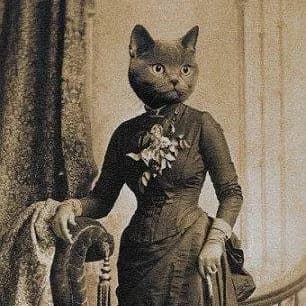 Chats et Citoyens