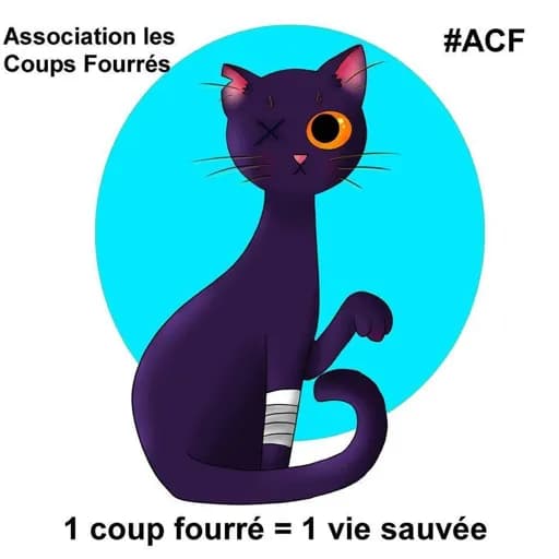 Les Coups Fourrés #ACF