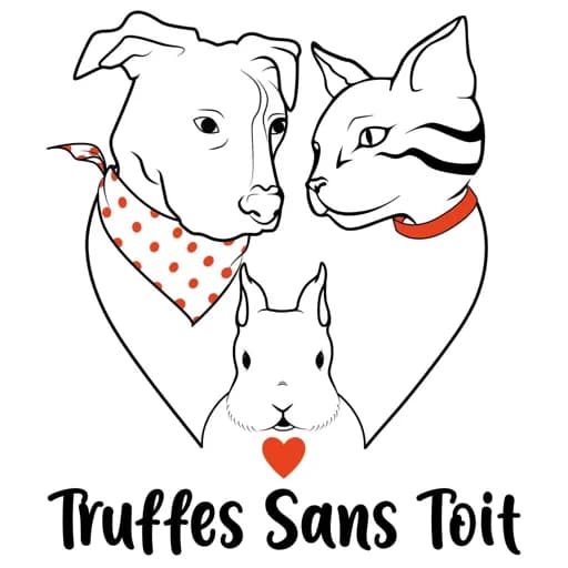 Truffes Sans Toit
