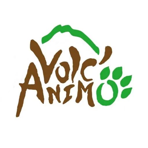 Volc'Animo