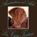 La Caze Toutous