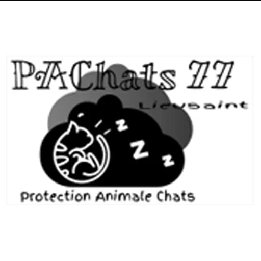 PAChats 77