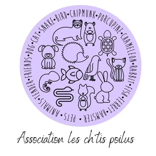 Les ch'tis poilus