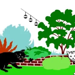 Chats libres de Grenoble et de l'Isère - Chagris