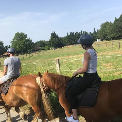 Cheval en selle