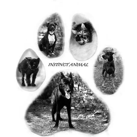 Instinct Animal