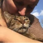 LES CHATS DE FEELIN' GOOD