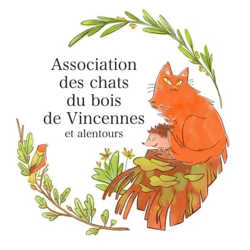 Chats du bois de Vincennes et alentours