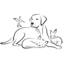 Des coeurs pour les pattes du 93