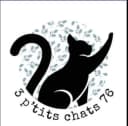 3 P'tits chats 76