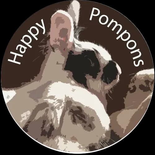 HAPPY POMPONS