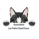 Les Petits Chats'Choux