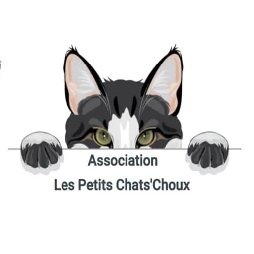 Les Petits Chats'Choux
